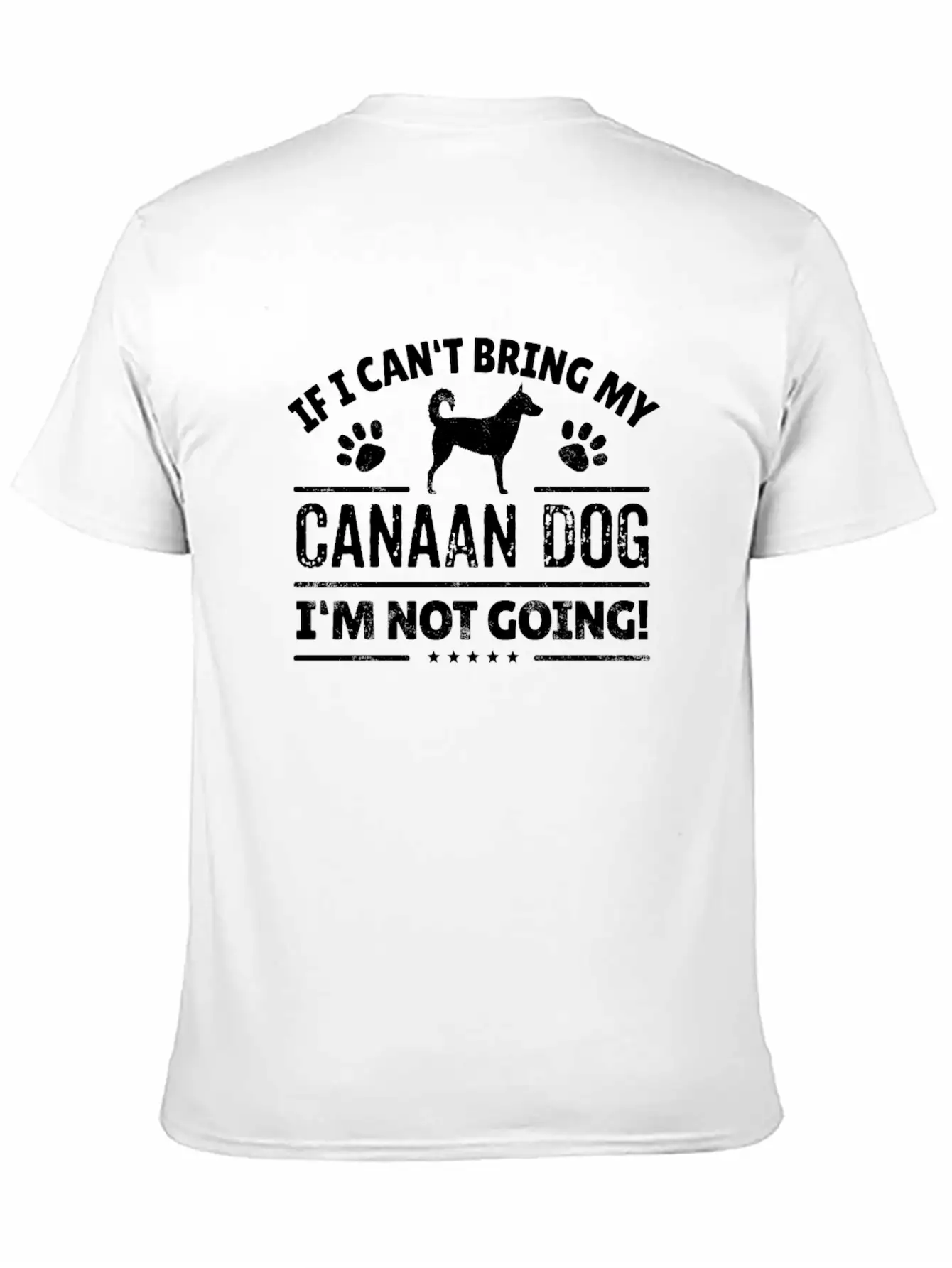 Canaan Dog Owner Cool Dog Gift Idea Relaxed Everyday Tee – Lightweight And Durable Cotton