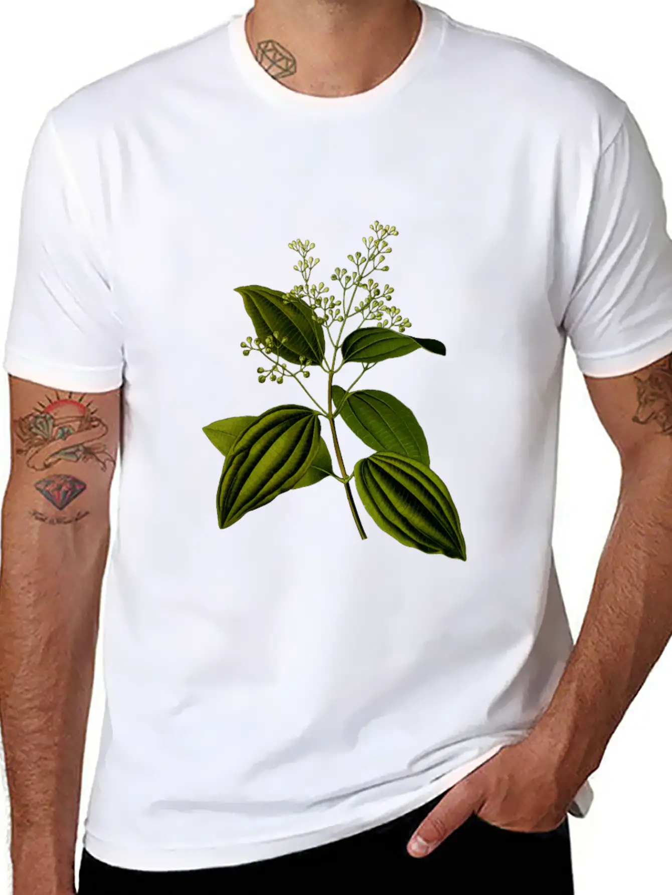 Ceylon Cinnamon (detailed) Stylish Everyday T-Shirt – Unisex Basic Cotton Tee